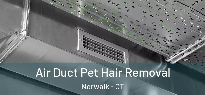 Air Duct Pet Hair Removal Norwalk - CT