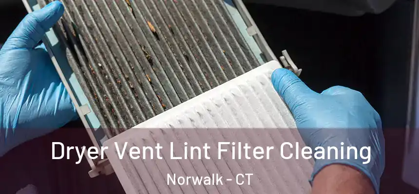 Dryer Vent Lint Filter Cleaning Norwalk - CT