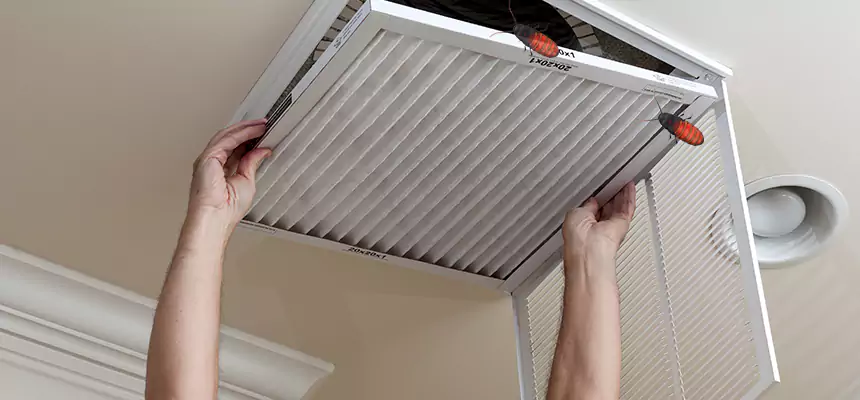 Preventive Cockroach-Proofing for Ducts in Norwalk