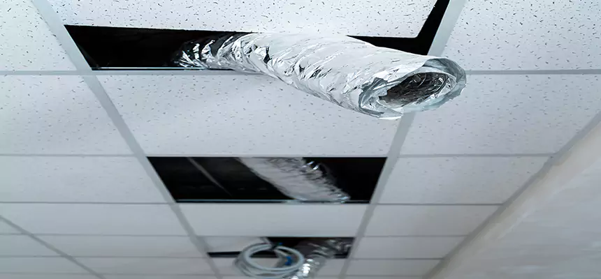 Our Air Duct Pet Hair Removal Services in Norwalk, CT