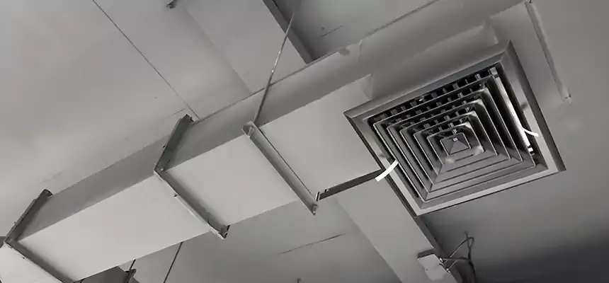 Our Rodent Droppings In Vents Services in Norwalk, CT