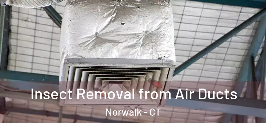 Insect Removal from Air Ducts Norwalk - CT