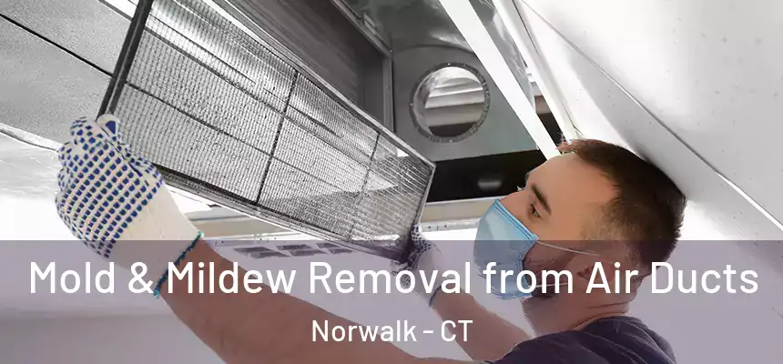 Mold & Mildew Removal from Air Ducts Norwalk - CT