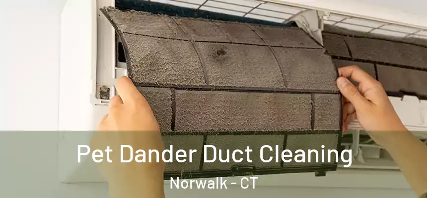 Pet Dander Duct Cleaning Norwalk - CT