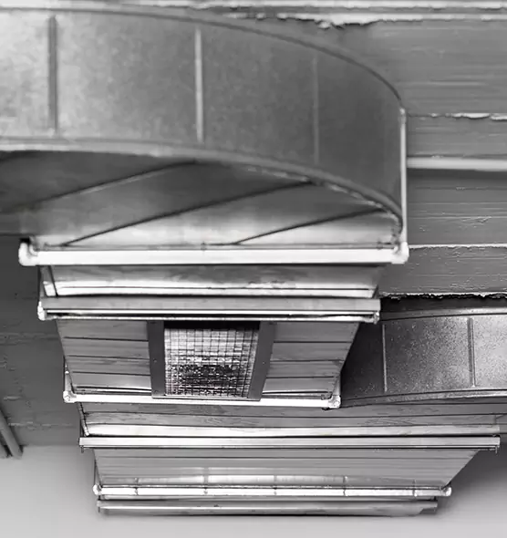 Professional Air Duct Pest Removal in Norwalk, CT