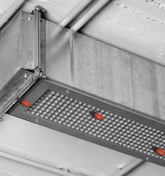 Affordable Insect Removal from Air Ducts in Norwalk, CT